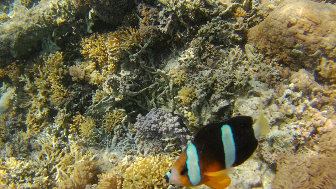 Run Gilis Daire Gili Meno Dış mekan fotoğraf